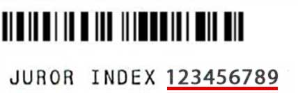 example of a bar code